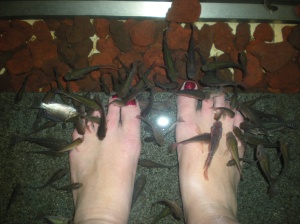 Hungry fish on Grayce's feet